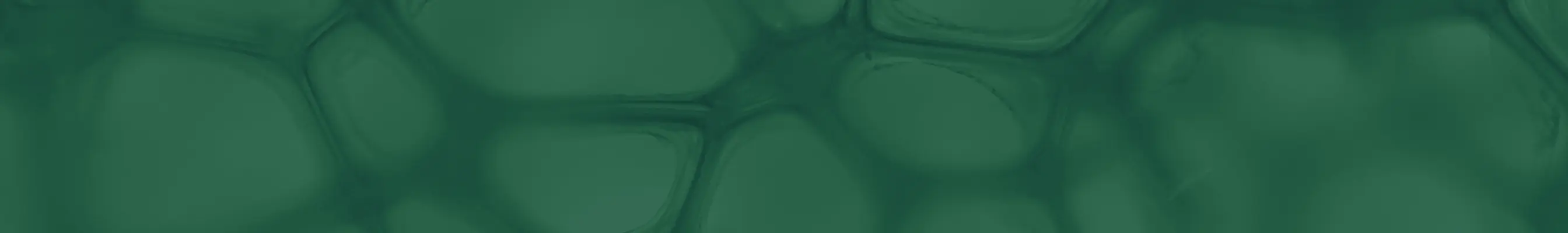 categories banner