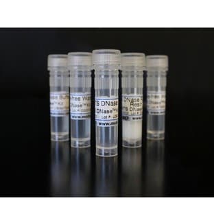 RTS DNase™ Kit avatar