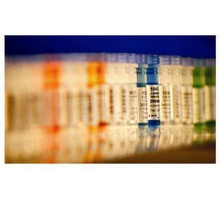 RxnReady oligo service avatar