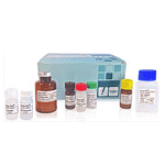 Hyglos introduces Endo-RS® Endotoxin Recovery Kit -  An important step in overcoming the issue of Low Endotoxin Recovery (LER) addressed by the FDA.