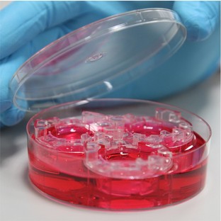 Alvetex® deep Petri dish (AVP0015)