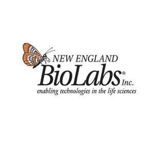 NEB 5-alpha Competent E. coli