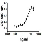 Igf-ii_mouse_recombinant_protein_ba_070113