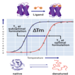(delta)Tm - Protein Formulation Screening Kit