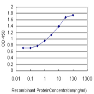 anti-rho Guanine Nucleotide Exchange Factor (GEF) 11 (ARHGEF11) (AA 651-750) antibody