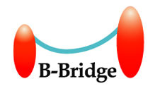 B-Bridge International, Inc.