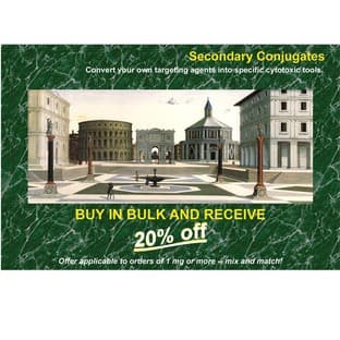 Secondary Conjugates - Save 20% avatar