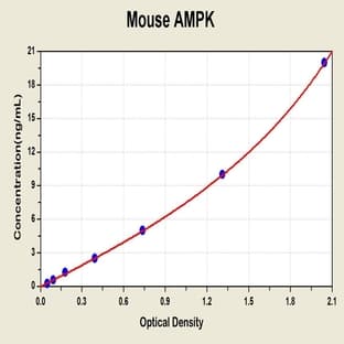 SNF1A/AMP-Activated Protein Kinase (SNF1A) ELISA Kit avatar