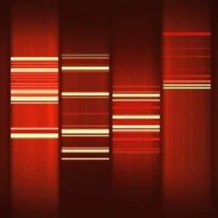 DNA Cleanup in 7 Minutes, 10% OFF avatar