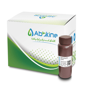 Cell Counting Kit-8 (CCK-8)